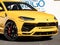 2021 Lamborghini Urus Base