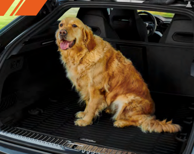 Lamborghini Rancho Mirage Lamborghini Huracán Tecnica